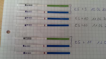 Bild zu 