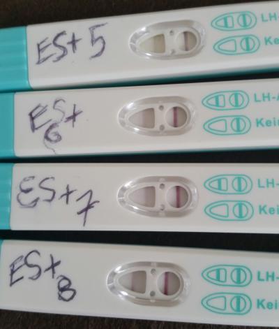 Bild zu orakeln - Kinderwunsch - bitte noch ein Baby