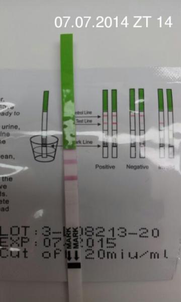 Bild zu Aide Ovulationstest - Kinderwunsch - bitte noch ein Baby