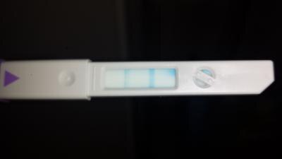 Bild zu hibbeln ? - Kinderwunsch - bitte noch ein Baby