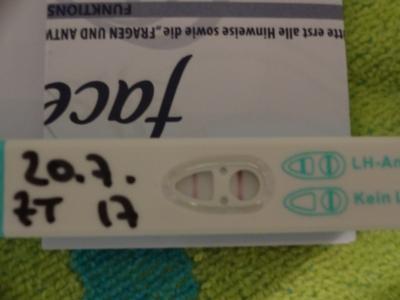 Bild zu Hilfe!!! Ist der Ovu positiv??? - Kinderwunsch - bitte noch ein Baby