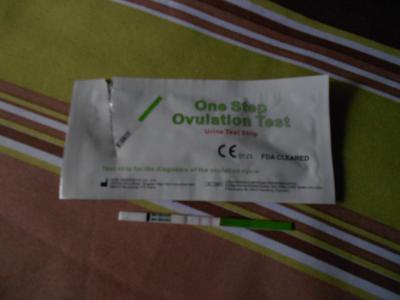 Bild zu huurra mein Ovu positiv ♥♥♥ - Kinderwunsch - bitte noch ein Baby