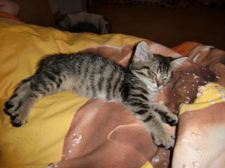 Bild zu 