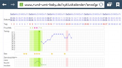 Bild zu Schwankung da...Pest noch nicht - Kinderwunsch - bitte noch ein Baby