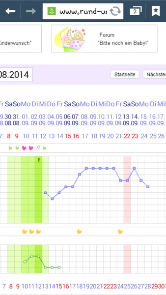 Bild zu 