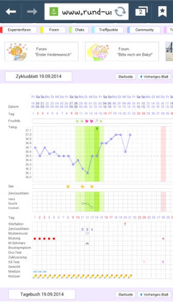 Bild zu 