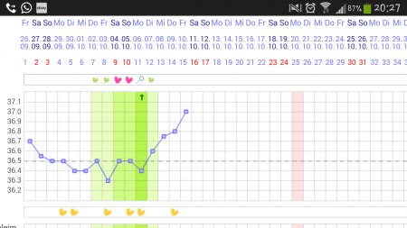Bild zu 