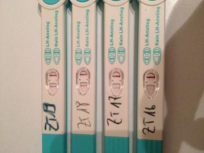 Bild zu Facelle Ovulationstest - Meinung bitte - Kinderwunsch - bitte noch ein Baby