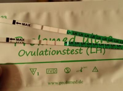 Bild zu @pupsi und alle anderen;) - Kinderwunsch - bitte noch ein Baby