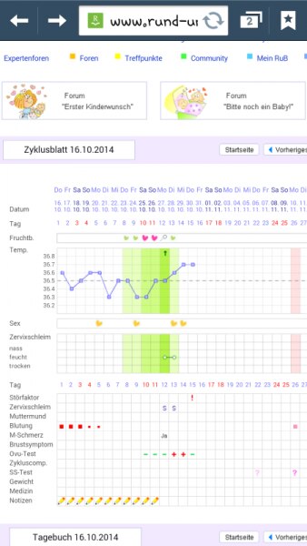 Bild zu 