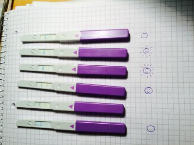 Bild zu Digitaler Ovulationstest - Kinderwunsch - bitte noch ein Baby