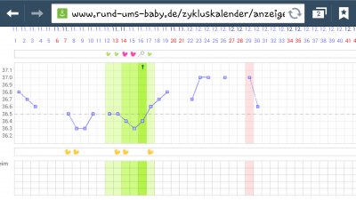 Bild zu Dienstagskurve;) - Kinderwunsch - bitte noch ein Baby