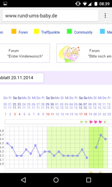 Bild zu 
