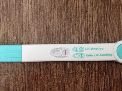 Bild zu Ovulationstest und weitere Fragen - Kinderwunsch - bitte noch ein Baby