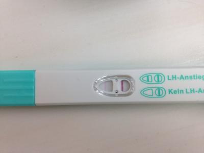 Bild zu Ovu positiv oder immer noch nicht ? - Kinderwunsch - bitte noch ein Baby