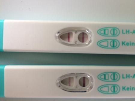 Bild zu Ovu's - Kinderwunsch - bitte noch ein Baby