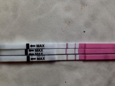 Bild zu Ovu an zwei Tagen positiv: GV zu spät? - Kinderwunsch - bitte noch ein Baby