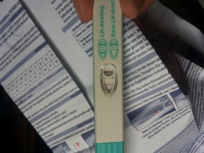 Bild zu Mädels bitte mal schauen LH Anstieg oder nicht?Facelle Test Rossmann♡ - Kinderwunsch - bitte noch ein Baby