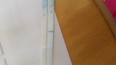 Bild zu Clear Blue auseinander gebaut schaut bitte.. - Kinderwunsch - bitte noch ein Baby