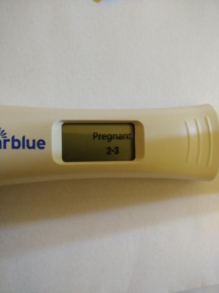 Bild zu So nun der Digitale Test - Kinderwunsch - bitte noch ein Baby