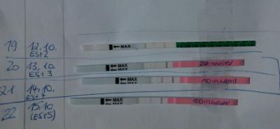 Bild zu Verwirrt wegen LH Test - Kinderwunsch - bitte noch ein Baby