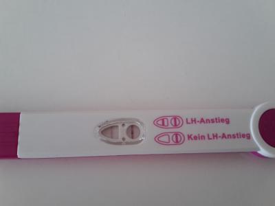 Bild zu ahhh ich brauche hilfe - Kinderwunsch - bitte noch ein Baby