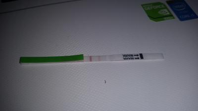 Bild zu Schaut ma Bitte ovu test - Kinderwunsch - bitte noch ein Baby