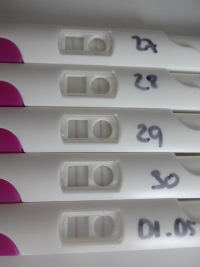 Bild zu Ovutest - Kinderwunsch - bitte noch ein Baby