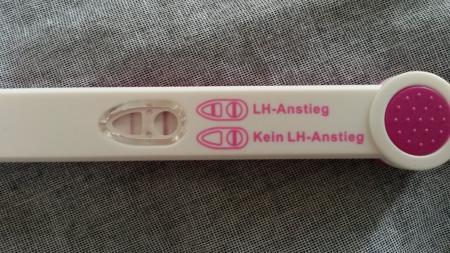 Bild zu Neu hier - Kinderwunsch - bitte noch ein Baby