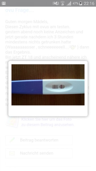Bild zu Verwirrung mit diesen Ovus... - Kinderwunsch - bitte noch ein Baby
