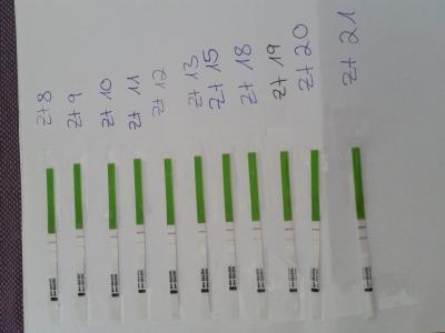 Bild zu Mein erster positiver ovutest? - Kinderwunsch - bitte noch ein Baby