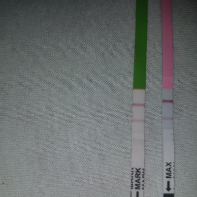 Bild zu Ovus fast positiv - Kinderwunsch - bitte noch ein Baby