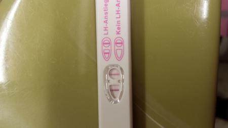 Bild zu OVU TEST pos. auch ss? - Kinderwunsch - bitte noch ein Baby