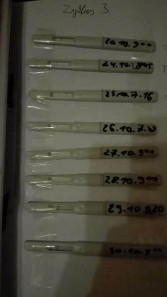 Bild zu Ovo test - Kinderwunsch - bitte noch ein Baby