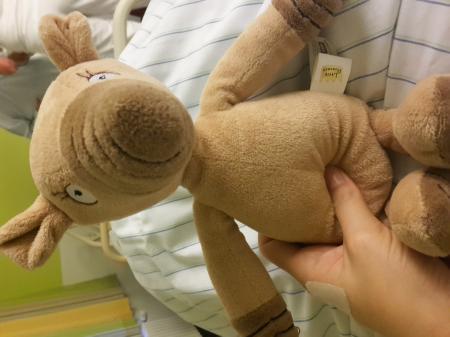 Bild zu Guten Morgen - Kinderwunsch - bitte noch ein Baby