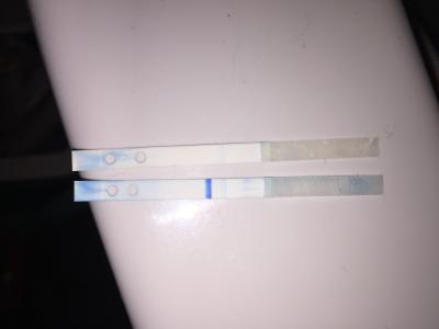 Bild zu Clear Blue mit wochenbestimmung - Kinderwunsch - bitte noch ein Baby