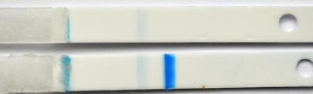 Bild zu Clearblue digital (+) (-) schwanger oder ned schwanger. Zerlegt - Kinderwunsch - bitte noch ein Baby