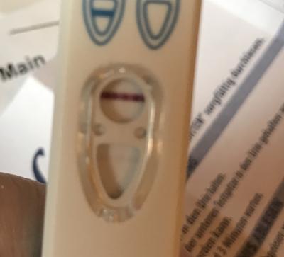 Bild zu Schwanger?! - Kinderwunsch - bitte noch ein Baby