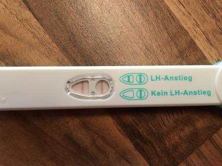 Bild zu Mein erster Ovu... - Kinderwunsch - bitte noch ein Baby