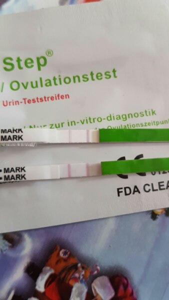 Bild zu Könnt ihr mal schauen ob der ovu positiv Ist - Kinderwunsch - bitte noch ein Baby