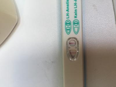 Bild zu Würdet ihr bitte einen Blick drauf werfen - Kinderwunsch - bitte noch ein Baby