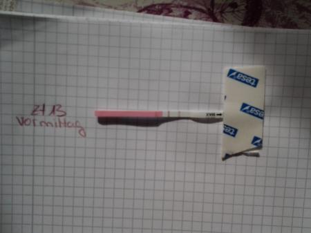 Bild zu 