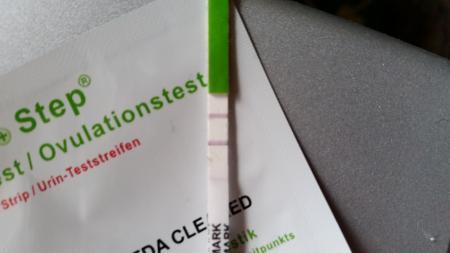 Bild zu Ovu-Test falsch positiv? - Kinderwunsch - bitte noch ein Baby