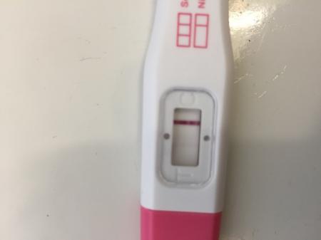 Bild zu Update - Kinderwunsch - bitte noch ein Baby