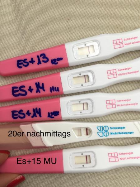 Bild zu Bin wieder da... :( - Kinderwunsch - bitte noch ein Baby
