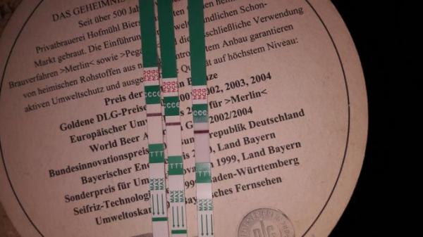 Bild zu 