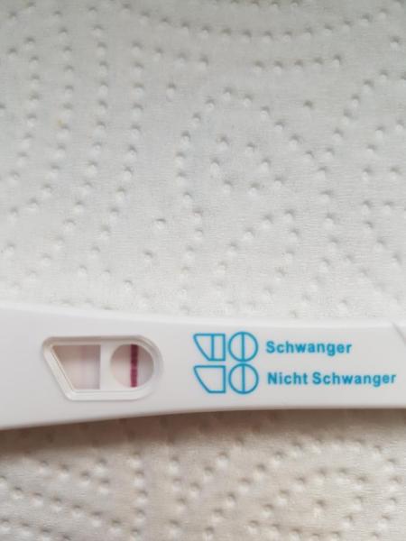 Bild zu Ich glaub's nicht... - Kinderwunsch - bitte noch ein Baby