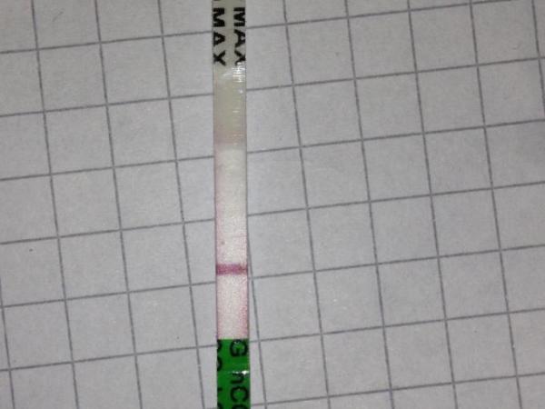 Bild zu Update zur tempi frag - Kinderwunsch - bitte noch ein Baby