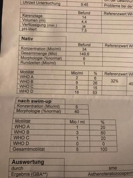 Bild zu Spermiogramm - Kinderwunsch - bitte noch ein Baby