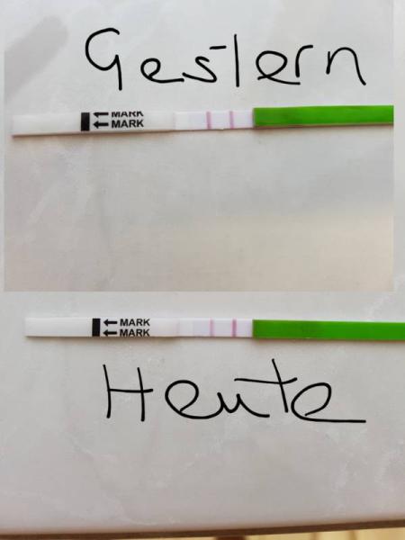Bild zu Update zu 2 ich Ergebnissen - Kinderwunsch - bitte noch ein Baby